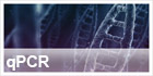 de_qpcr140x80